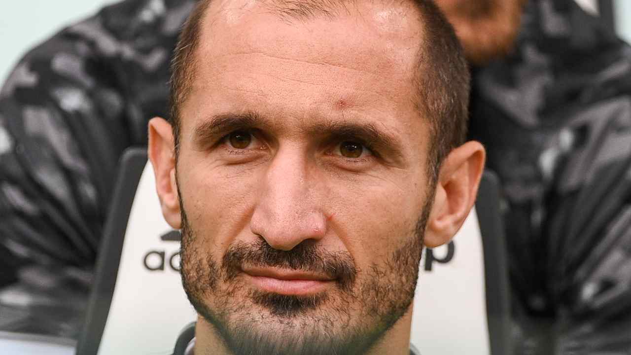 Giorgio Chiellini foto (LaPresse)