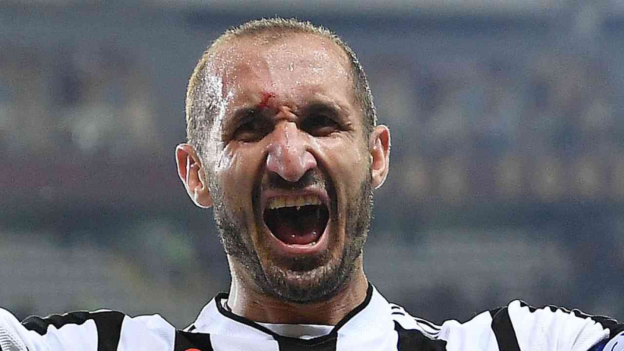 Giorgio Chiellini foto (Ansa Foto)