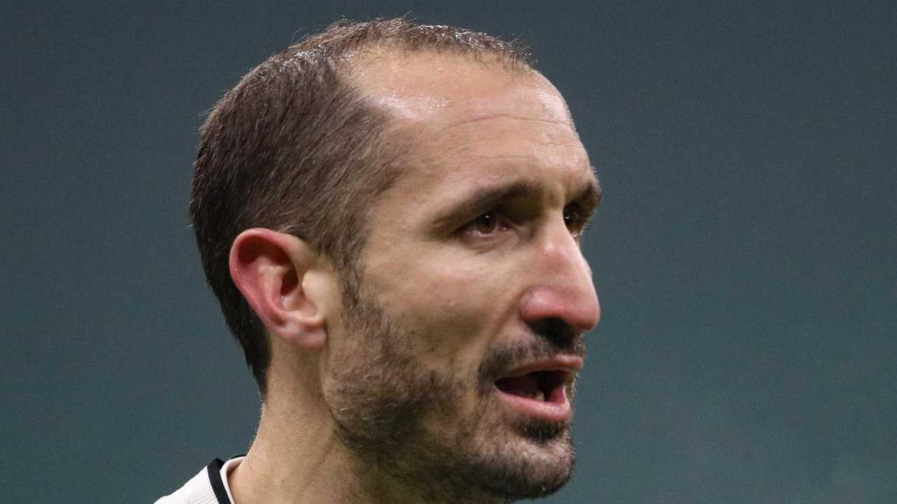 Giorgio Chiellini Juventus (Ansa Foto)