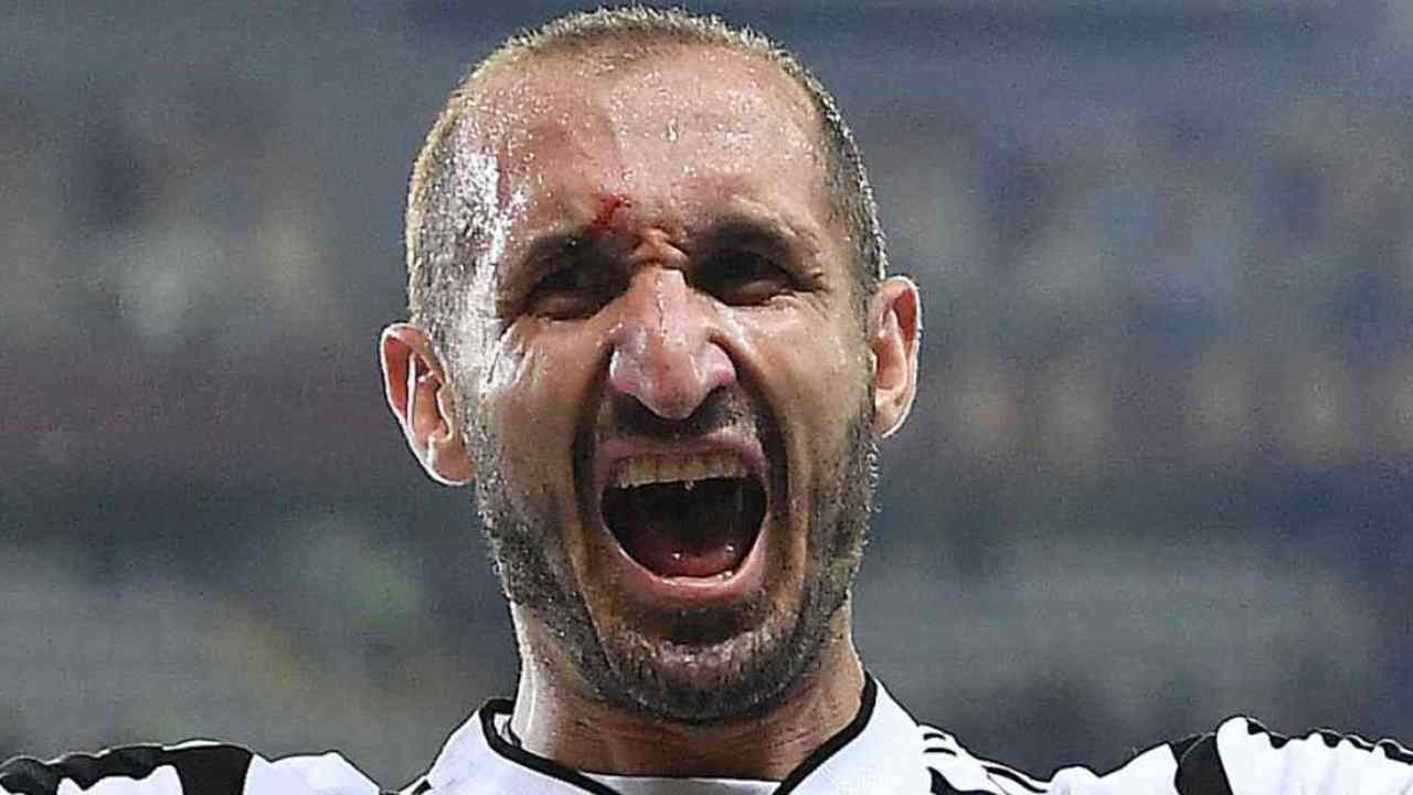 Giorgio Chiellini foto (Ansa Foto)