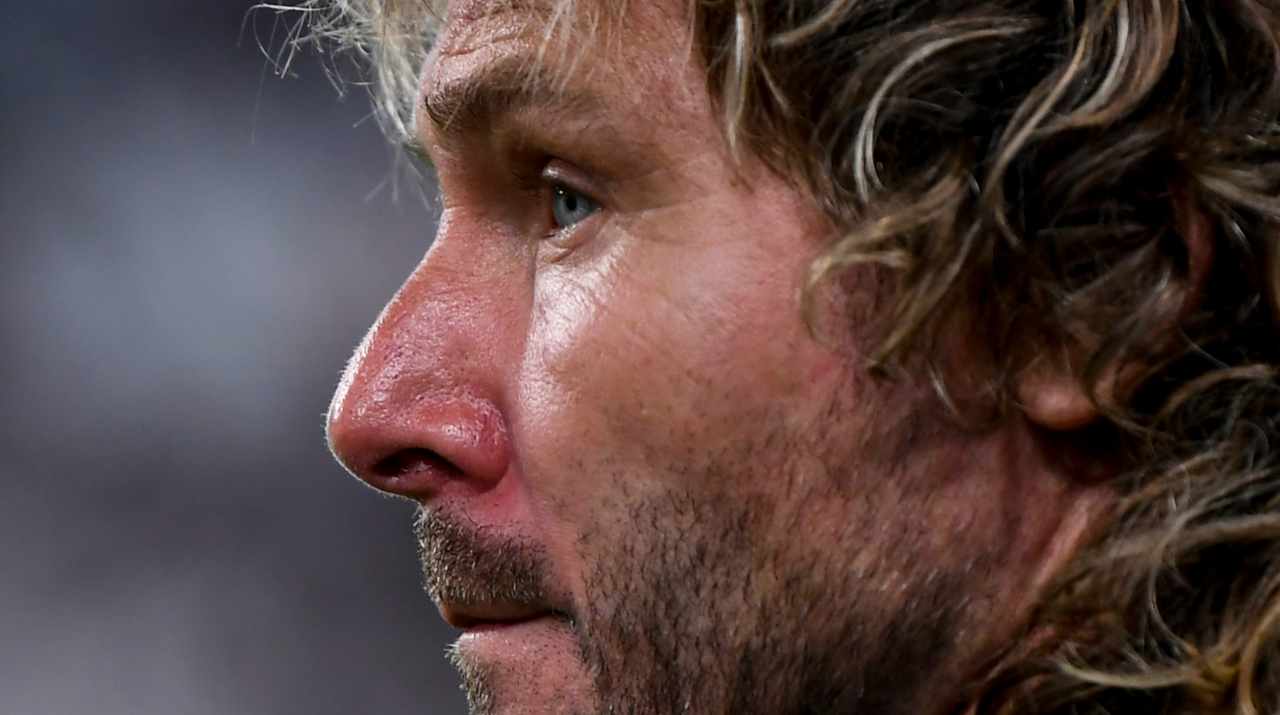 Nedved 