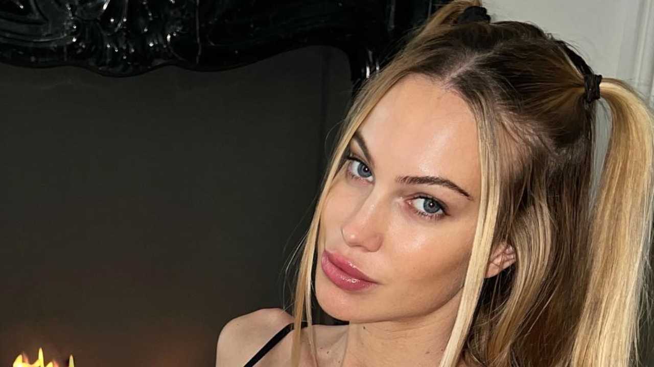 Taylor Mega 