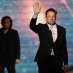 Elon Musk Triestina Dogecoin